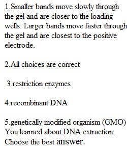 Final Exam